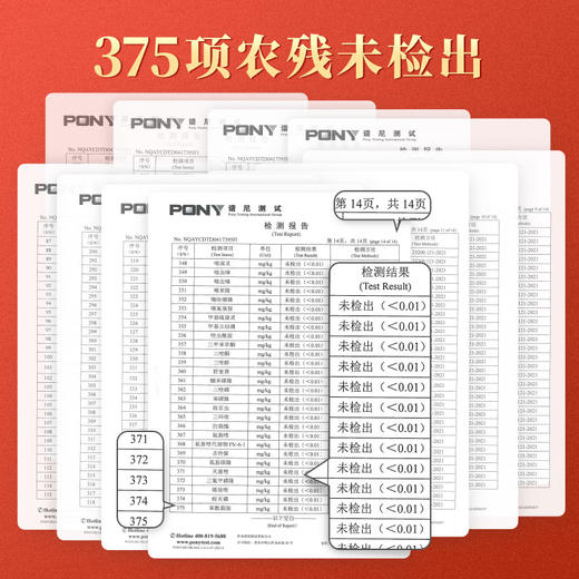 【最主推】食味的初相 阳光西梅霸气无核西梅干 | 颗颗饱满、自然果香浓郁、无涩感、果肉厚实有嚼劲 商品图8
