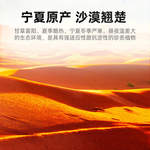 杞里香甘草片120g花草茶搭配黄芪胖大海菊花甘草干姜防已 商品图5