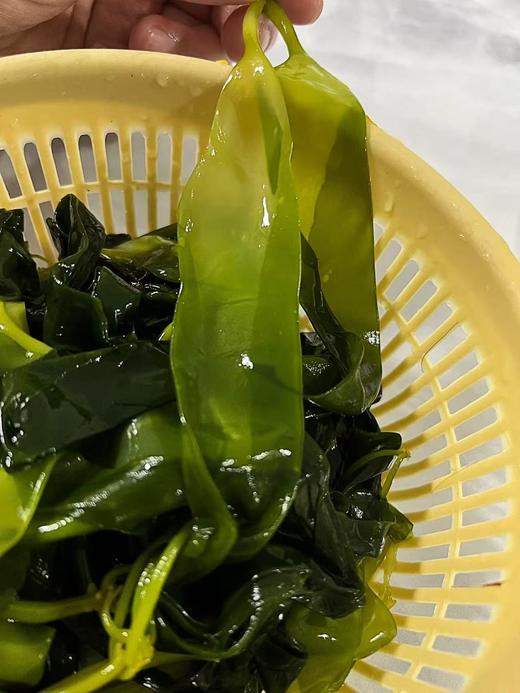 xm【卖爆啦！新割特级嫩苗！便宜~~】超嫩海带苗，口感脆爽，超低热量，可以烫煮拌~ 商品图5