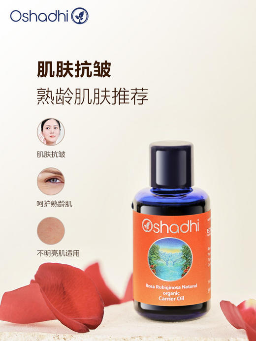 德国O家玫瑰籽油玫瑰果油  身体按摩油基础油基底油抗皱 商品图1