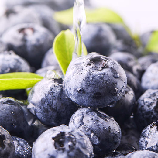 XBD蓝莓125g*6盒（18mm+）【分仓直发，72小时发货，周末节假日不发货】 商品图9