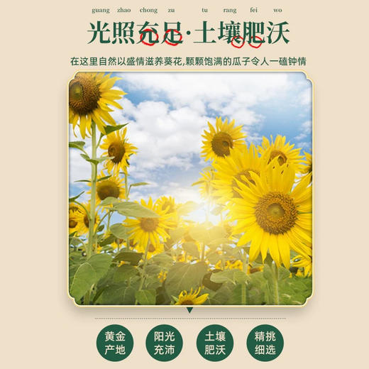 旺瓜不火瓜子金银花柚子味100g 商品图3