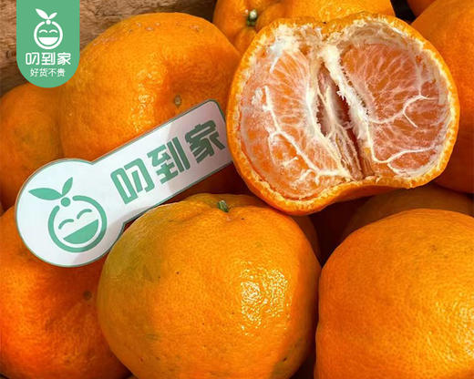 老林家高山树熟永春芦柑（中果）/1箱（13-15个，共2.25kg±100g） 商品图1