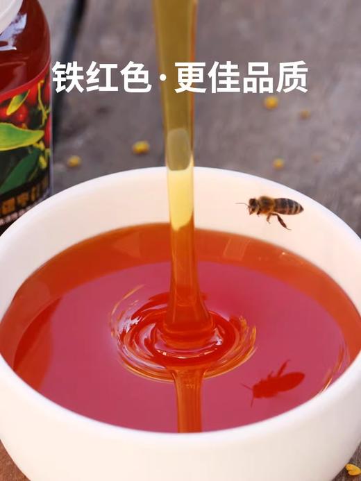 陕西米脂千年古枣花蜜｜黄河畔自然熟成，蜂蜜枣香浓郁膏体质感 商品图3