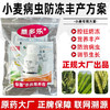 农药组合小麦病虫丰产方案噻虫高氯氟肟菌戊唑醇蚜虫复配杀虫剂 商品缩略图1