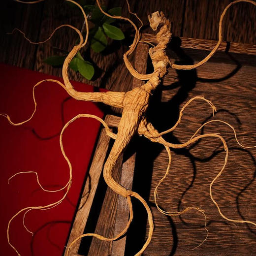 长白山野山参礼盒15g/2支+30支保鲜参 商品图3