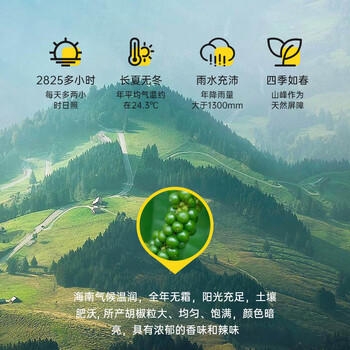 吉得利孜然粉100g 袋装 孜然羊肉羊杂汤烧烤蘸料撒料干碟卤菜卤肉调料 /粮油调味 /调味品 /基础香辛料 商品图2