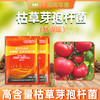 土老板枯草芽孢杆菌农用种植肥料预防根腐黑腐茎腐病绿色有机养花1000克/包 商品缩略图2