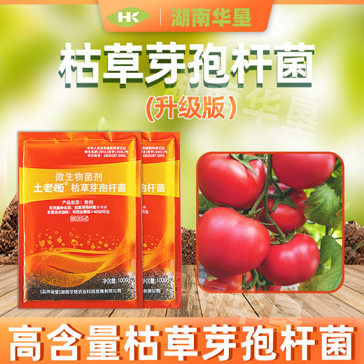 土老板枯草芽孢杆菌农用种植肥料预防根腐黑腐茎腐病绿色有机养花1000克/包 商品图2