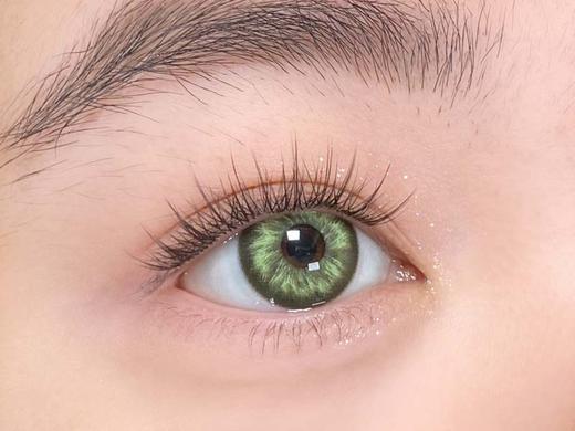 hancon 日抛（6片装）数码暴龙 直径14.5mm着色13.8mm 商品图2