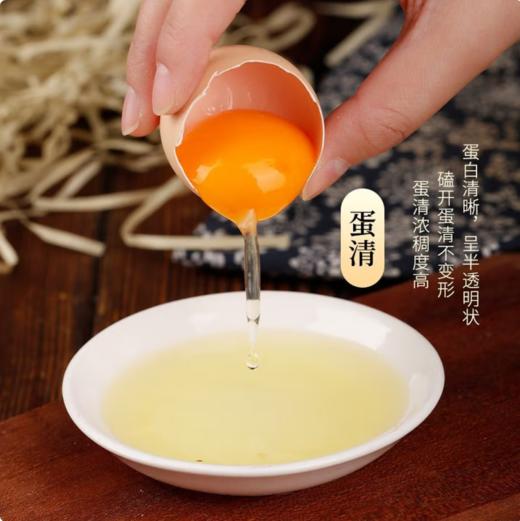 【QT】新鲜鲜鸡蛋 商品图2
