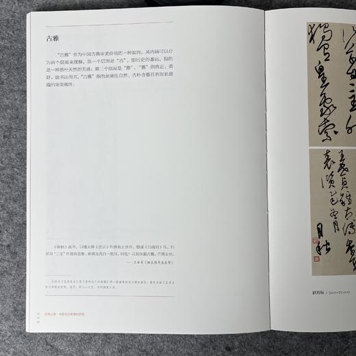 正版全新【汉字之美-中国书法审美的历程】当代书法家书论合集 商品图6