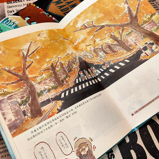 小岛无大事，日日是好日 岛民生活日记漫画绘本 钢笔淡彩手绘手账风格 文字画面温暖解压缓解疲惫焦虑补充能量热爱生活 商品图4