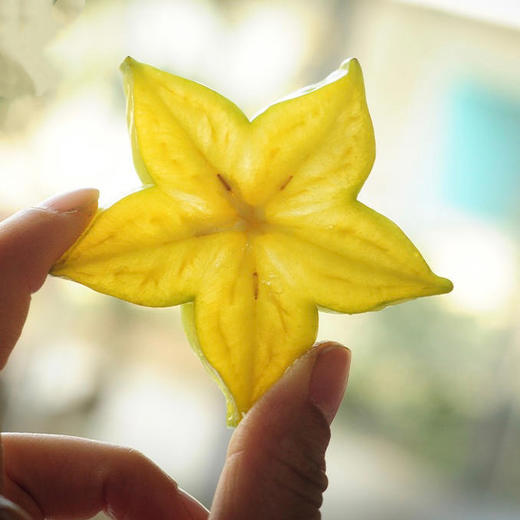 生态种植云南杨桃，酸甜水润，现摘现发，297项农残未检出，顺丰/京东包邮急件慎拍‼️ 商品图1