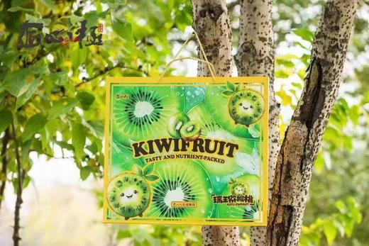 精品瑞玉猕猴桃75元1箱16枚装，明天到 商品图3