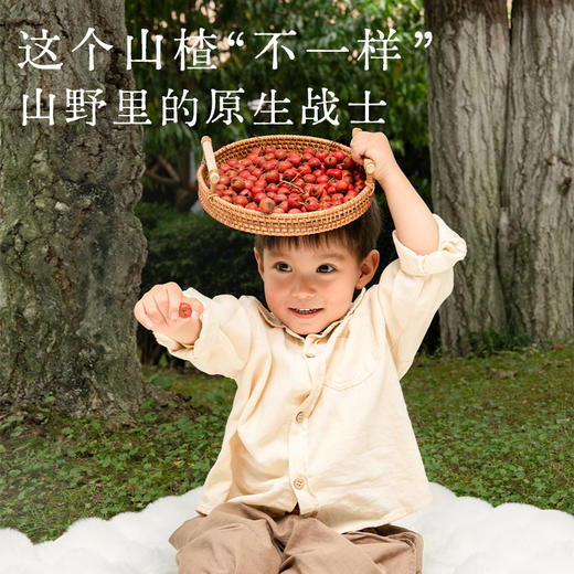 【杏林方记】山楂六物膏 商品图2