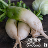 青青自种青萝卜和白萝卜，4.5斤包邮 商品缩略图6
