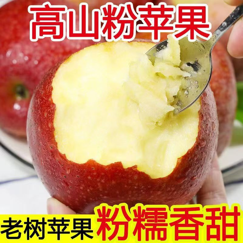 【九九年】陕西秦冠苹果粉面沙甜 9斤装或者18斤装大果