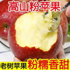 【九九年】陕西秦冠苹果粉面沙甜 9斤装或者18斤装大果 商品缩略图0