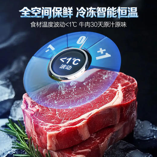 海尔（Haier）冰箱 BCD-502WGHTD1CYXU1 商品图6