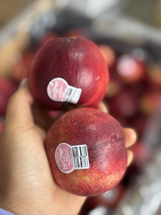 澳洲白油桃 硬脆鲜甜 桃味十足 商品图2