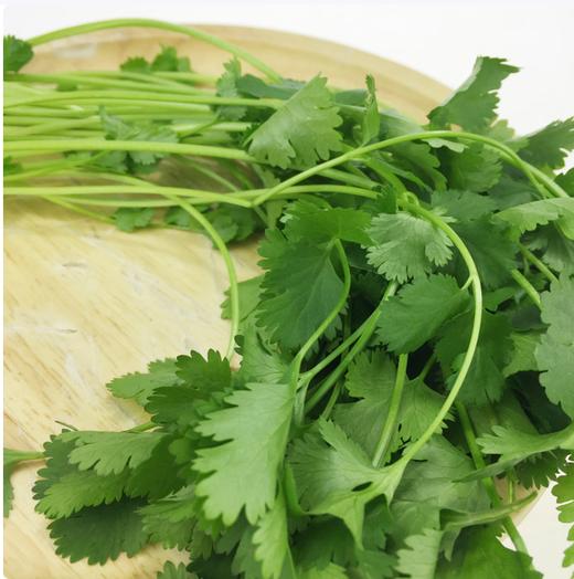 【SF】新鲜带根香菜  佐餐必备 商品图2