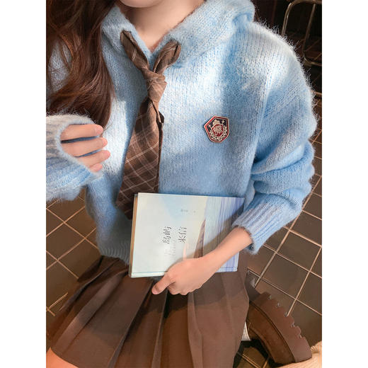 <曾小咸推荐>2.4现货秒杀 ！微信超特价！学院风连帽毛衣 日常219.99 立减130 秒杀89.99！！ 商品图3