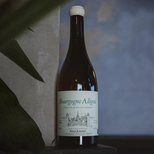 两大名村混酿！默尔索“越级王” 雷米乔巴酒庄阿里高特干白Remi Jobard Bourgogne Aligote 2023 商品图1
