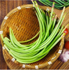 【QT】生鲜蔬菜新鲜蒜薹 商品缩略图1