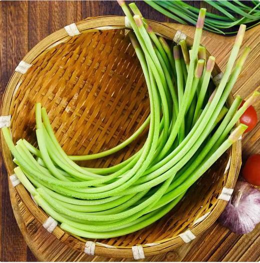 【QT】生鲜蔬菜新鲜蒜薹 商品图1