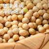 【SF】黄豆 优质高蛋白黄豆  粒饱满均匀、色泽自然有光泽 商品缩略图2