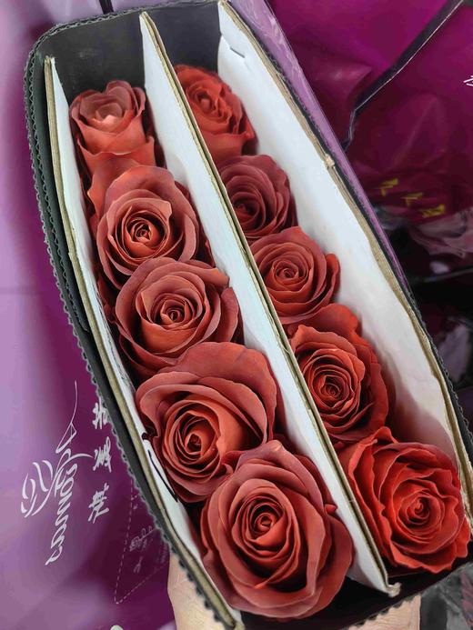 同城甄选咖啡时间玫瑰花10支 商品图7