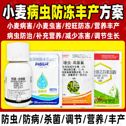 农药组合小麦病虫丰产方案噻虫高氯氟肟菌戊唑醇蚜虫复配杀虫剂 商品图2
