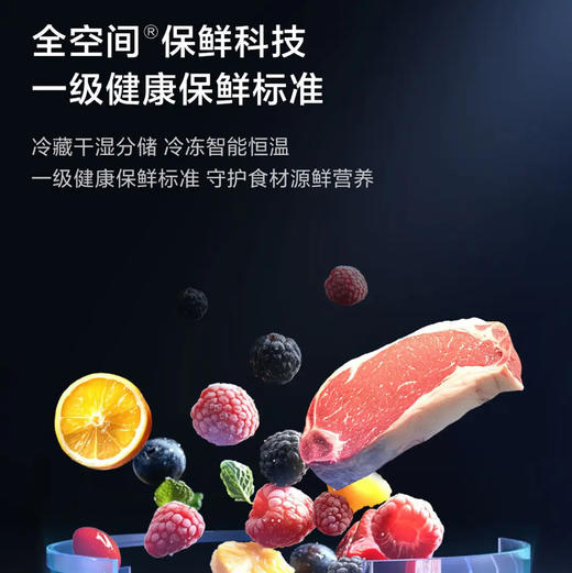 海尔（Haier）冰箱 BCD-502WGHTD1CYXU1 商品图2