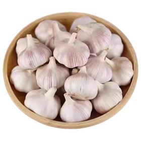 【ZCWJ】精选多瓣蒜干大蒜