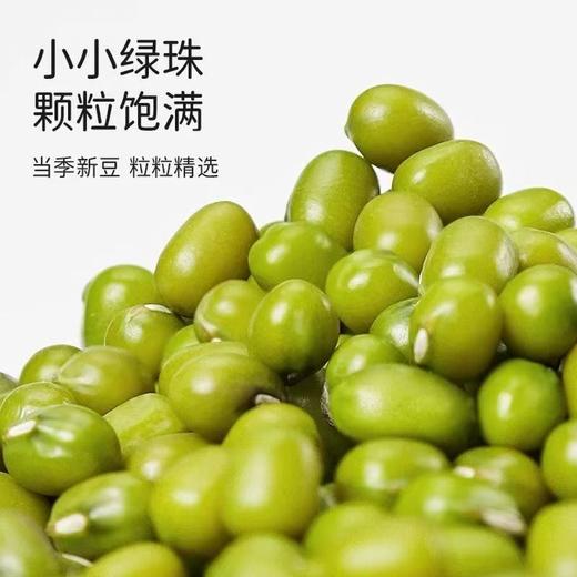 【SF】绿豆   农家精品小绿豆去火解暑 商品图1