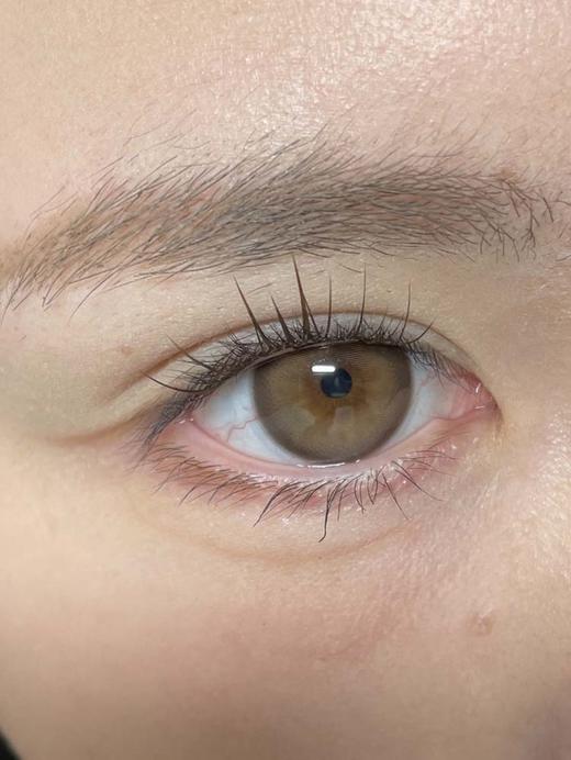 hancon 日抛（6片装）鸡蛋布丁 直径14.5mm着色13.9mm 商品图0