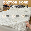 【品牌直发】加倍生活 A类抗菌里外全棉床护垫 0.9-2.0m纯棉新疆棉花填充床褥子 单人双人学生垫 商品缩略图4