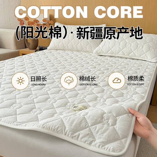 【品牌直发】加倍生活 A类抗菌里外全棉床护垫 0.9-2.0m纯棉新疆棉花填充床褥子 单人双人学生垫 商品图4