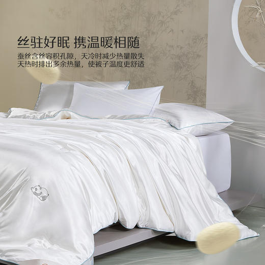 水星家纺蚕丝春秋二合一被A类丝滑透气细腻亲肤床上用品严选 商品图1
