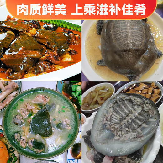 S 喝“农夫山泉”长大的千岛湖甲鱼连续20年有机认证 现杀冰鲜顺丰发货！（附带检测报告） 现杀冰鲜顺丰发货！ 商品图4