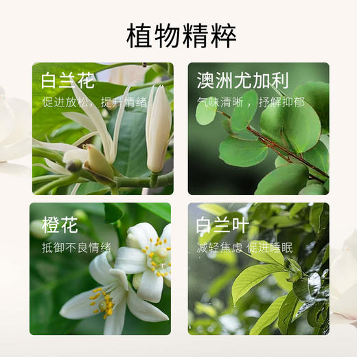 【助眠】静馨助眠睡眠植物精油安睡神器芳香哲学复方精油 商品图4