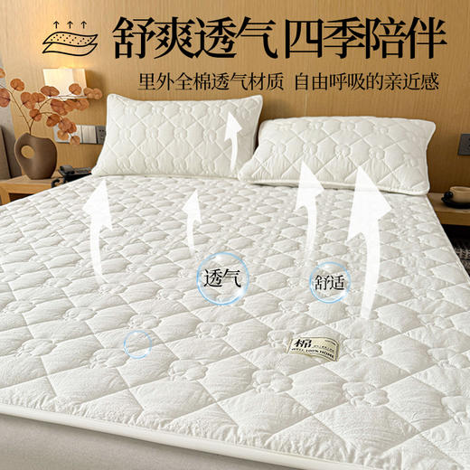 【品牌直发】加倍生活 A类抗菌里外全棉床护垫 0.9-2.0m纯棉新疆棉花填充床褥子 单人双人学生垫 商品图2