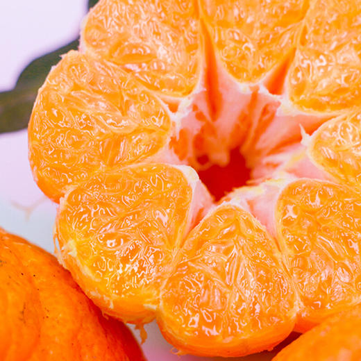 春见耙耙柑8斤大果彩箱装【分仓直发，72小时发货，周末节假日不发货】 商品图5