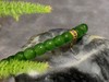 【御珠宫坊】碧玉珠串 商品缩略图4