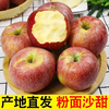 【九九年】陕西秦冠苹果粉面沙甜 9斤装或者18斤装大果 商品缩略图1
