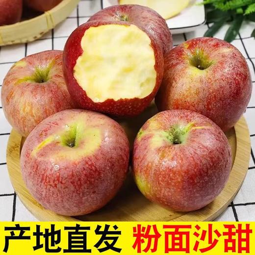 【九九年】陕西秦冠苹果粉面沙甜 9斤装或者18斤装大果 商品图1