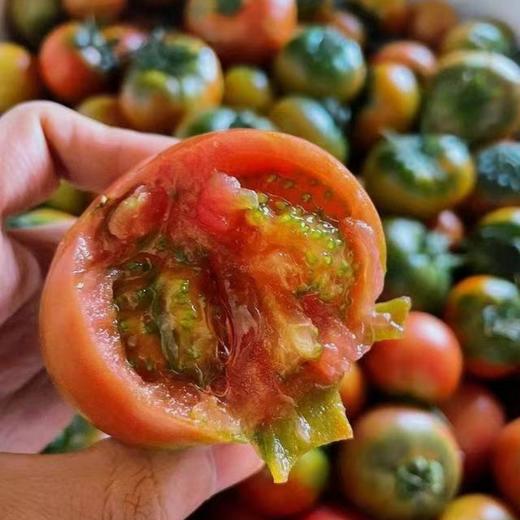 攀枝花铁皮草莓番茄（西红柿）【顺丰发货】 商品图1