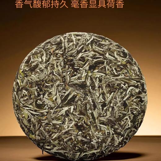 中茶蝴蝶白茶2025年出品大师茶2021牡丹王300g饼茶75周年纪念版 商品图1