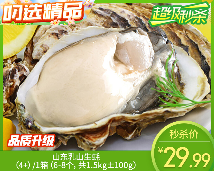 山东乳山生蚝（4+）/1箱（6-8个，共1.5kg±100g）